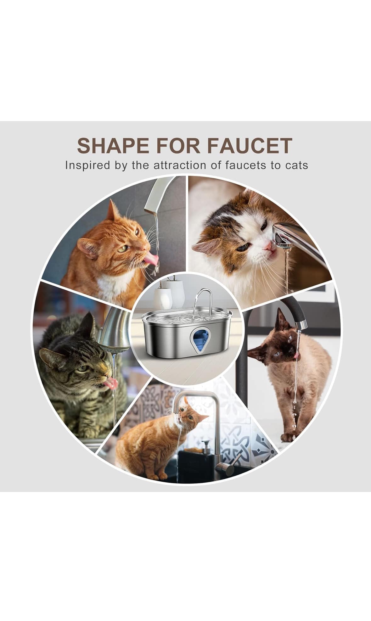 Bebederos para gatos