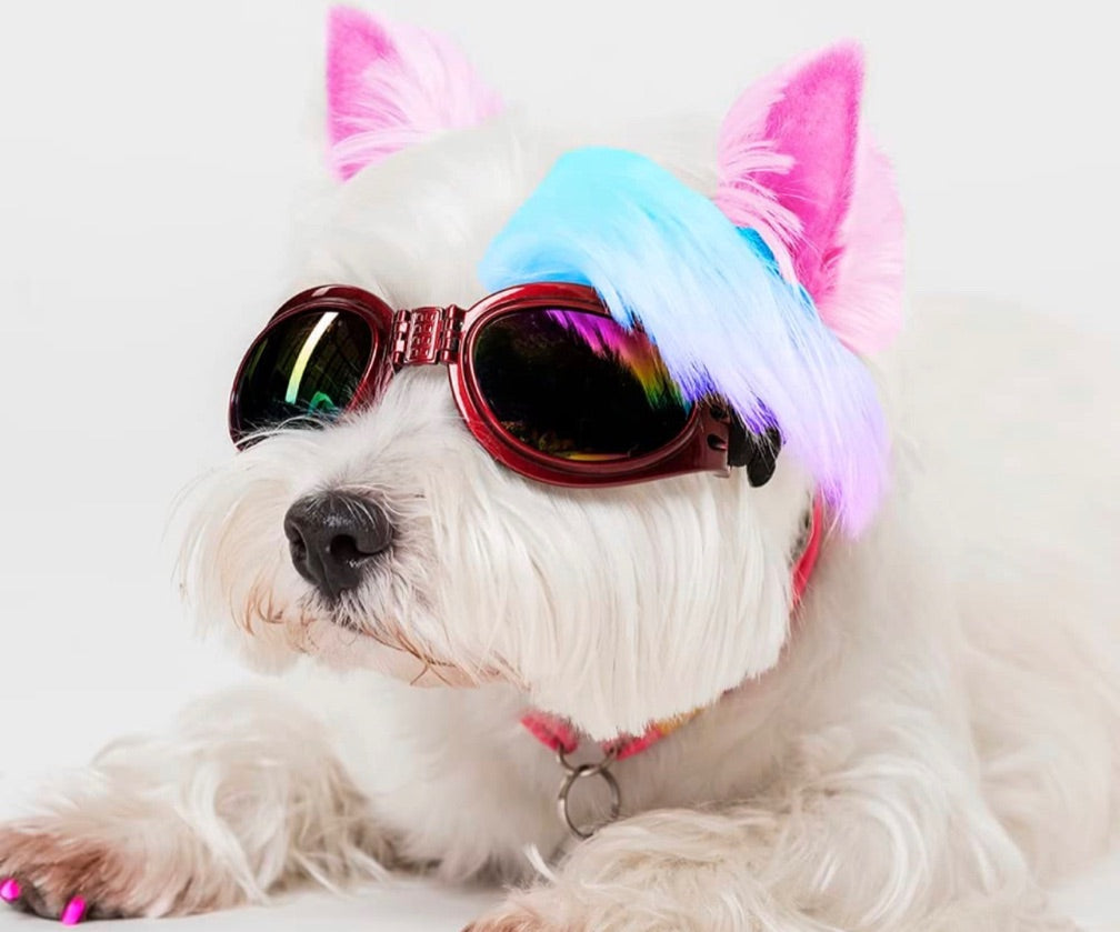 Tinte temporal 12 colores