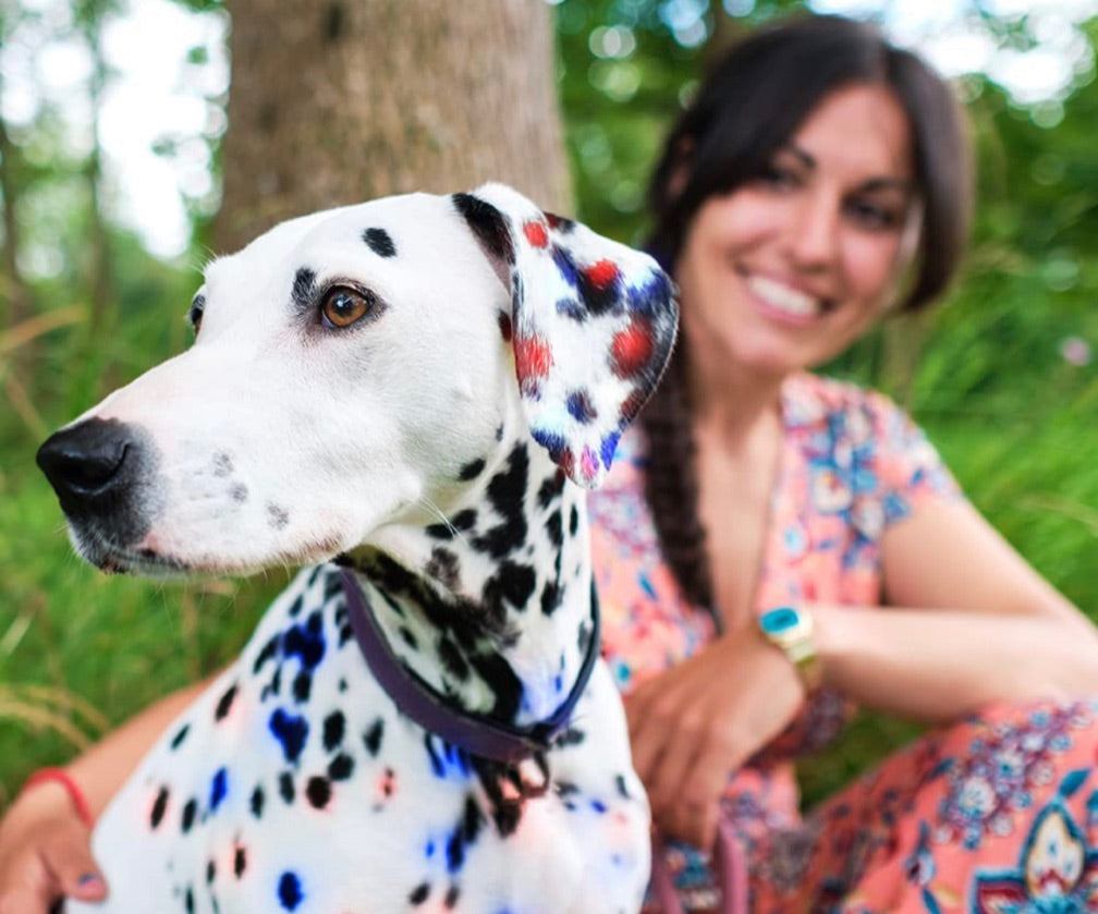 Tinte temporal 12 colores